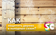 Дерево перед холодным сезоном