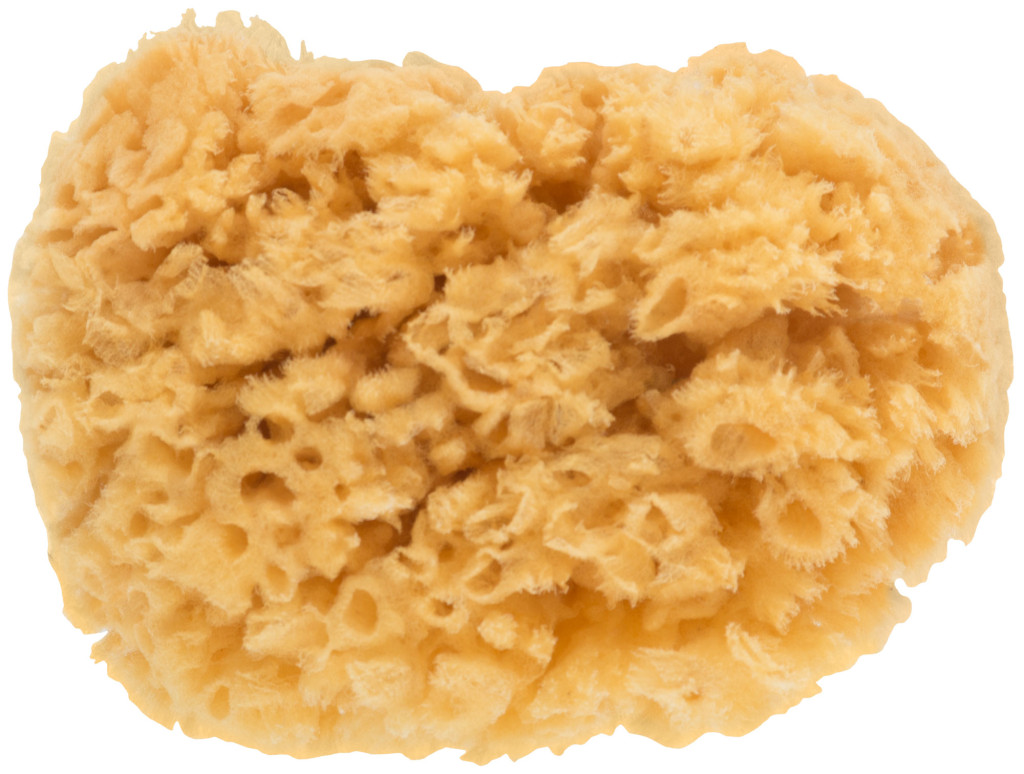 Губка морская для декорирования 100 мм Master Color