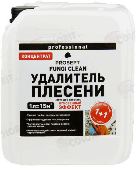 Удалитель плесени PROSEPT 5л