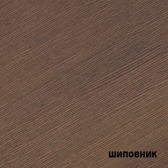 Color шиповник