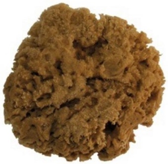 Губка морская натуральная