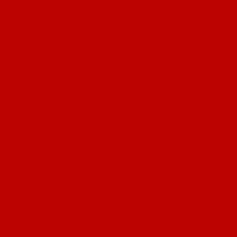 Color 3002-кармин