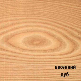FD весенний дуб